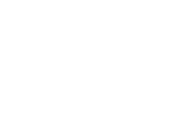 Fizzics
